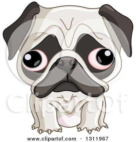 Clipart of a Cute Pug Puppy Dog with Big Eyes.