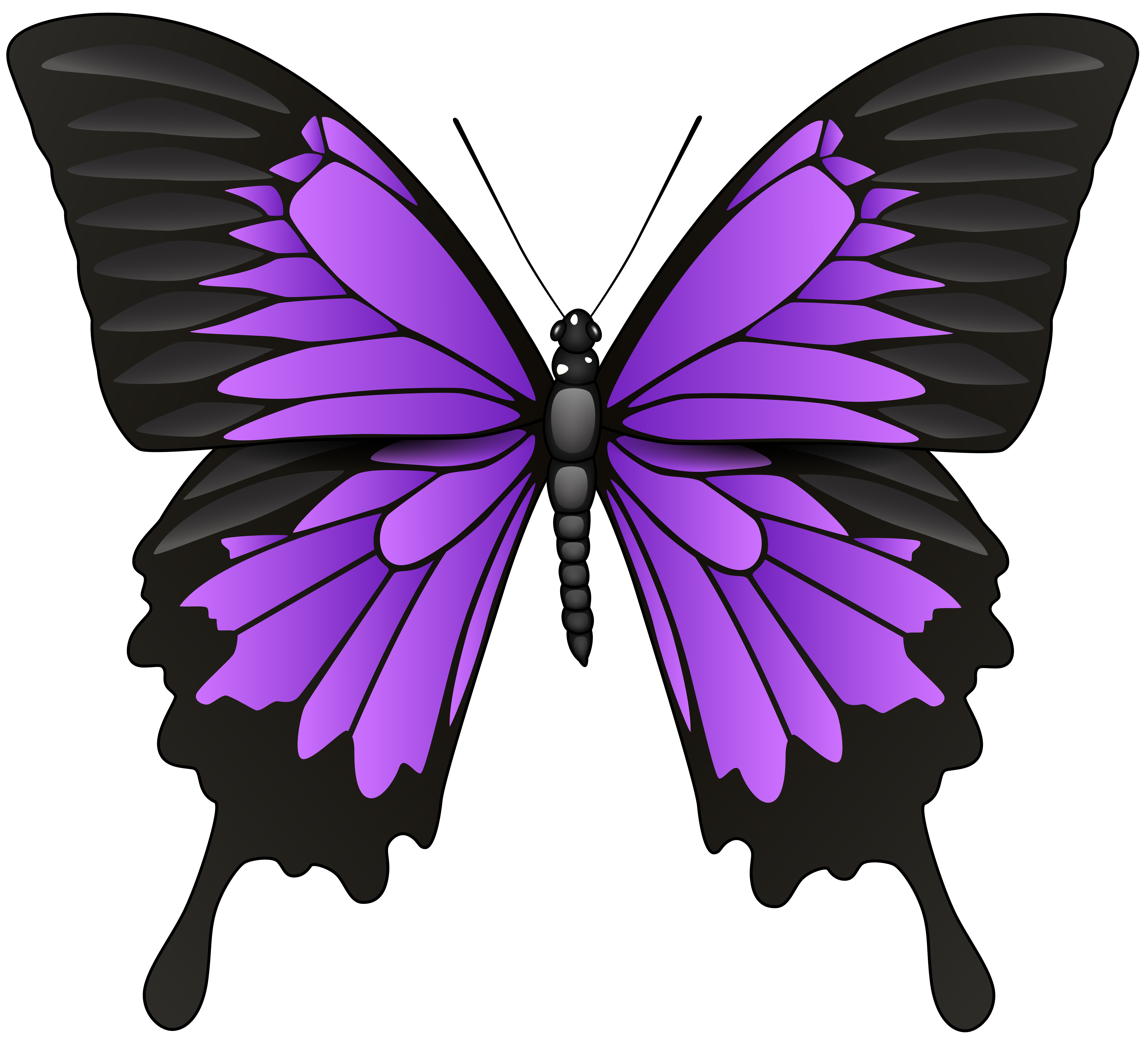Purple Butterfly PNG Clip Art.