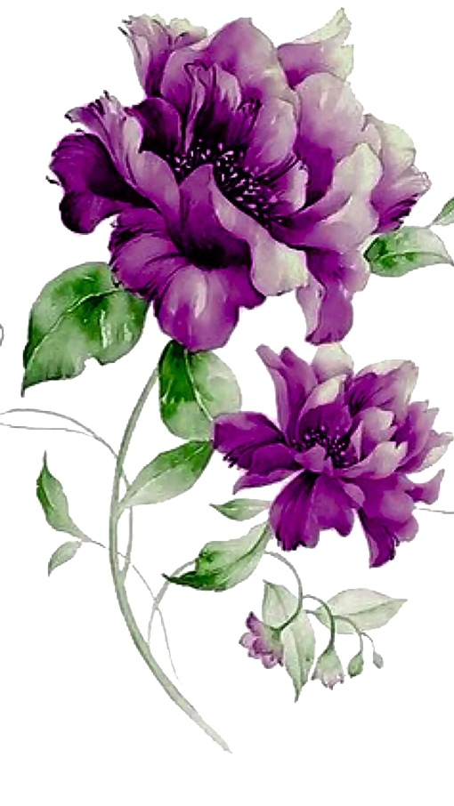 Flower Purple Floral design.