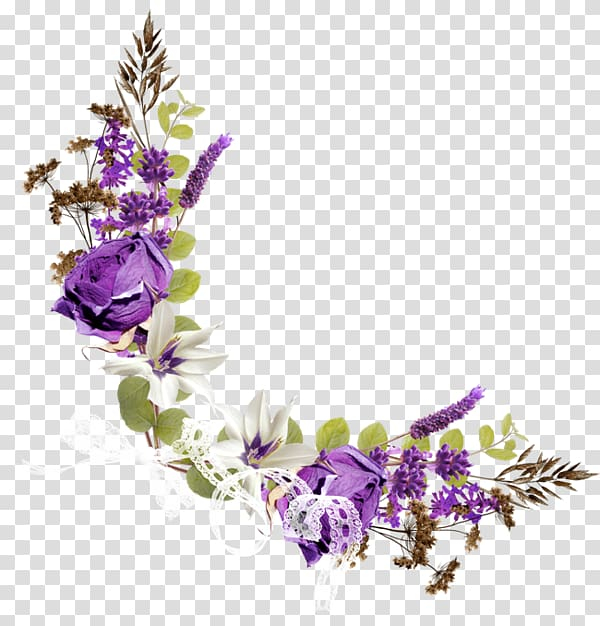 Purple and white flowers illustration, Flower Purple.