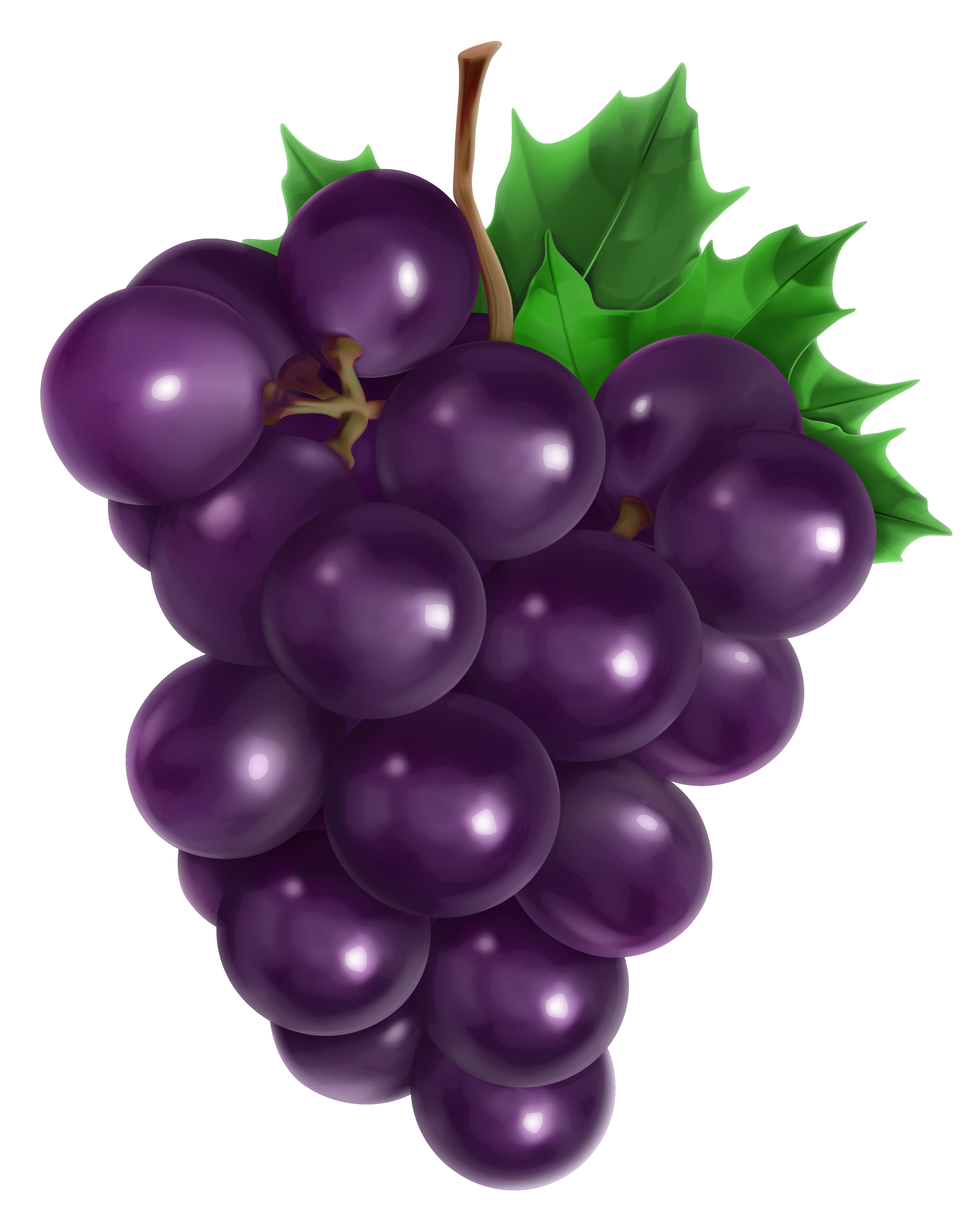 Grapes fruit clipart.
