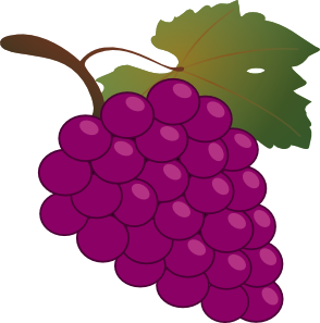 Purple Grapes Clipart.