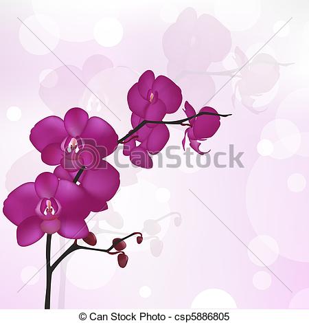 Orchid Clipart and Stock Illustrations. 7,534 Orchid vector EPS.
