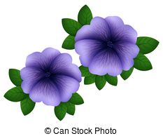 Purple petunias Illustrations and Stock Art. 102 Purple petunias.