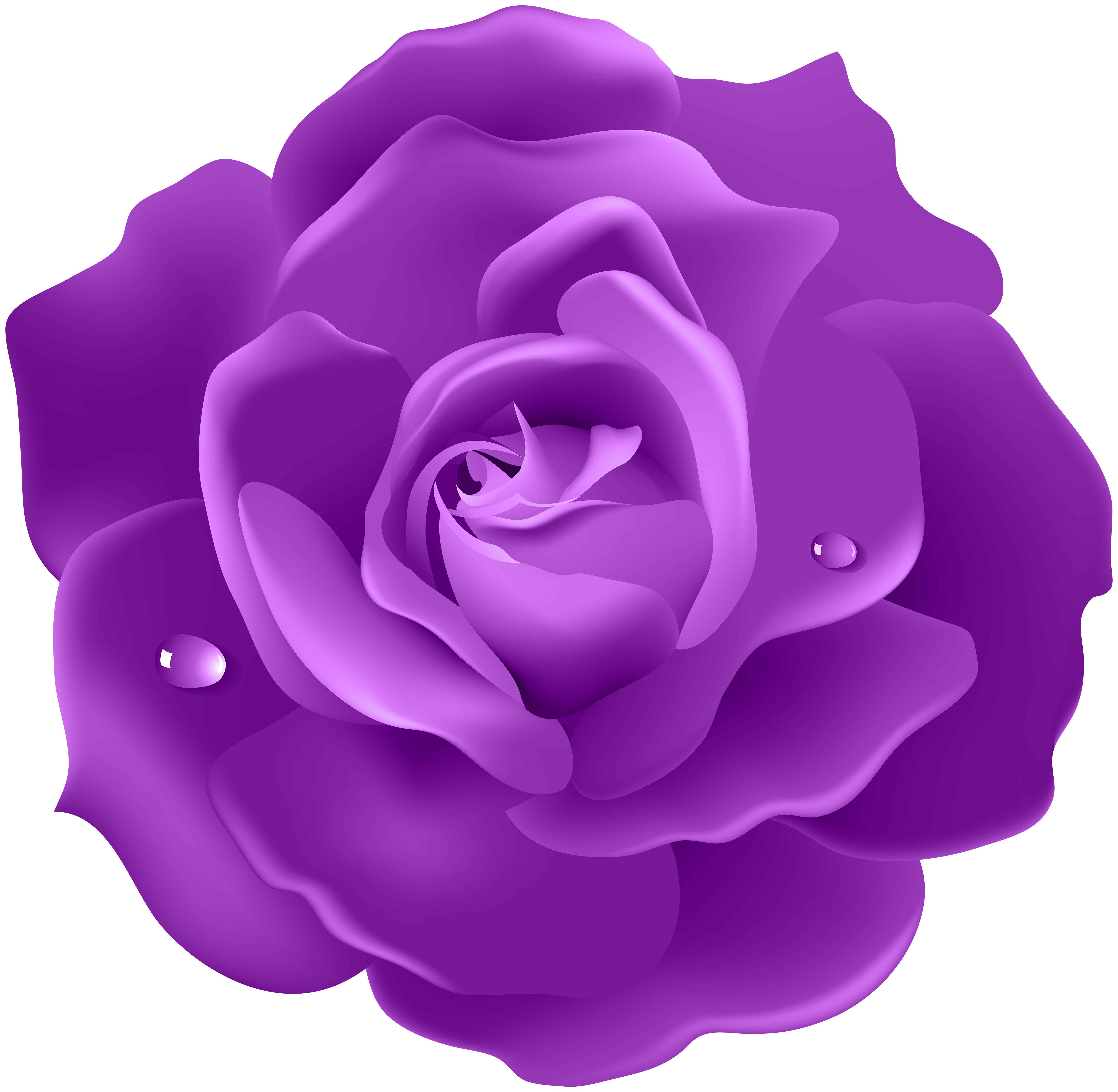Purple Rose PNG Image.