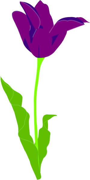 Purple Tulip Clipart.