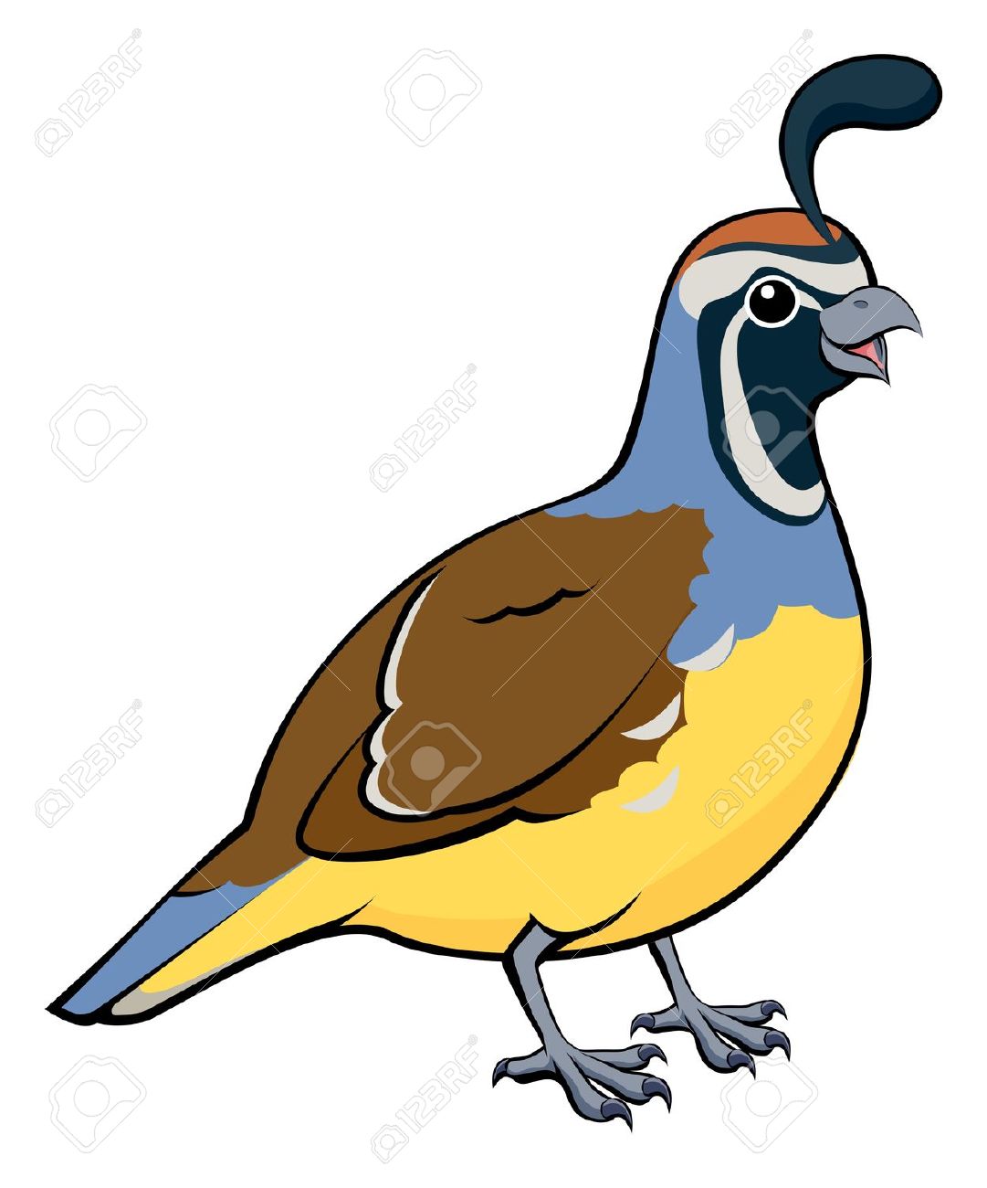 967 Quail Cliparts, Stock Vector And Royalty Free Quail Illustrations.