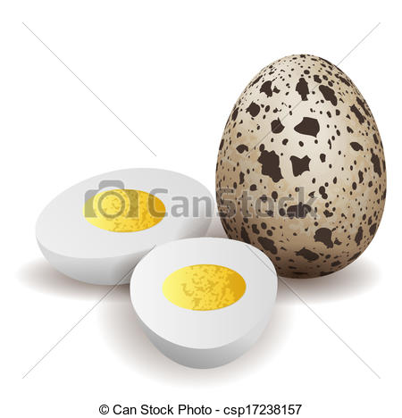 Quail egg Illustrations and Clip Art. 160 Quail egg royalty free.