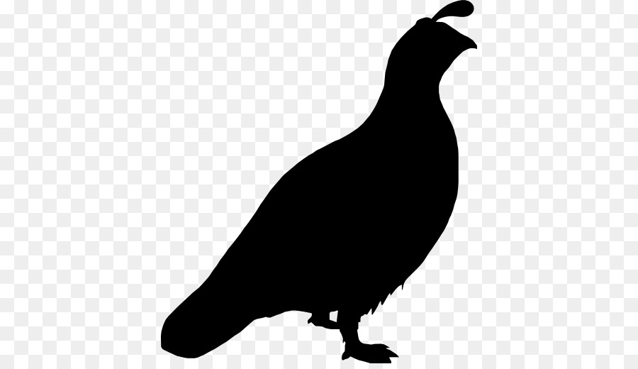 Quail Bird Columbidae Computer Icons.