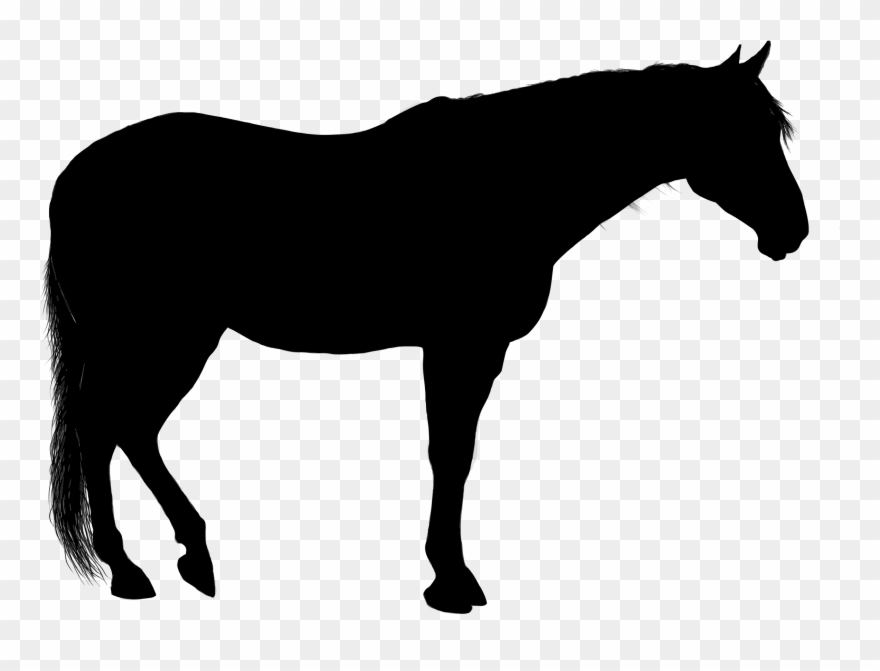 quarter horse silhouette clip art 10 free Cliparts | Download images on