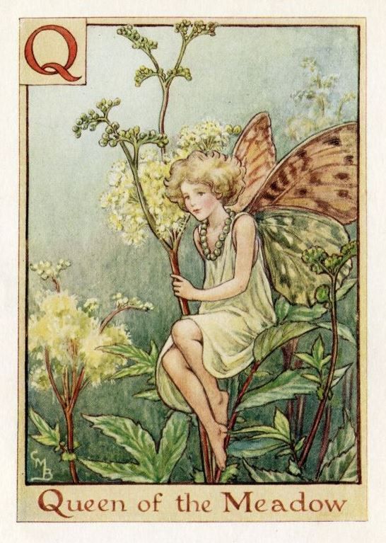 301 Best images about Flower Fairies on Pinterest.