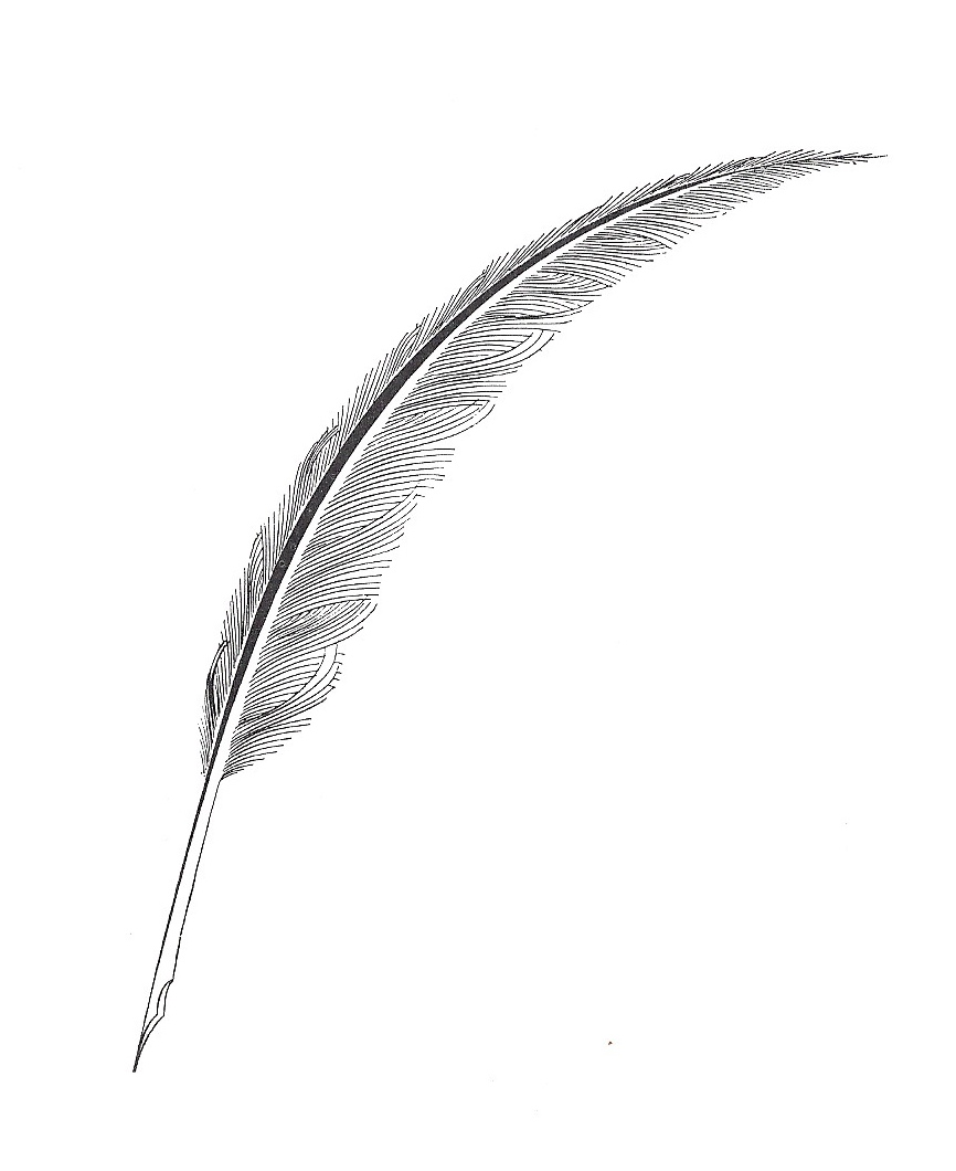 Free Quill, Download Free Clip Art, Free Clip Art on Clipart.