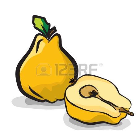 624 Quince Cliparts, Stock Vector And Royalty Free Quince.