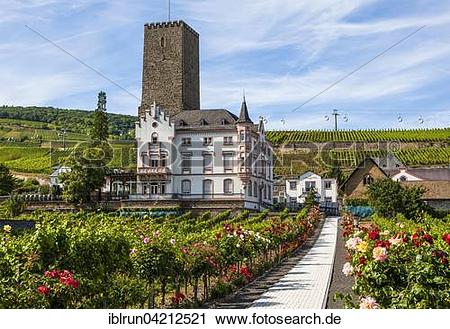 Rüdesheim clipart 20 free Cliparts | Download images on Clipground 2024