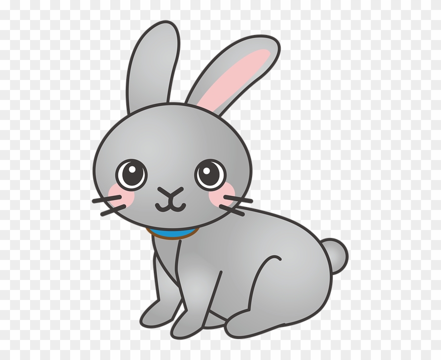 rabbit clipart png 10 free Cliparts | Download images on Clipground 2022