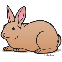 Rabbit Clip Art Images.