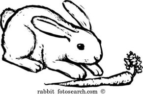 Rabbit food Clipart Royalty Free. 2,154 rabbit food clip art.