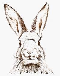 Image result for vintage rabbit prints.