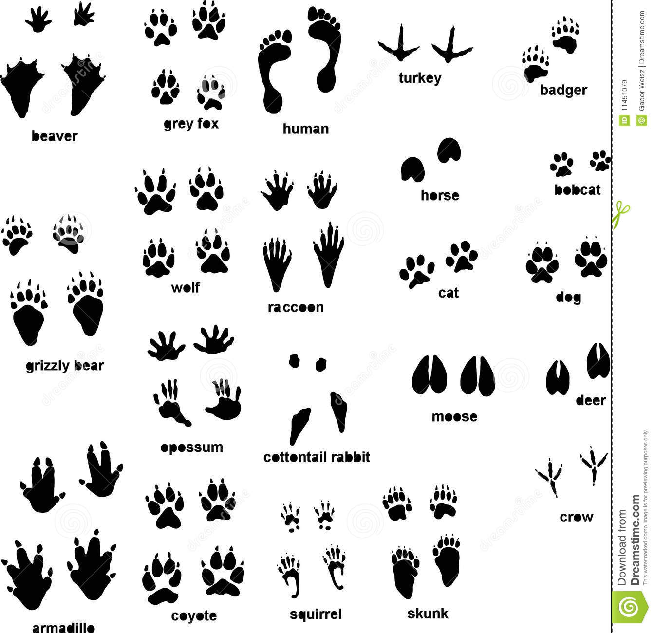 rabbit track outline clipart 20 free cliparts download images on