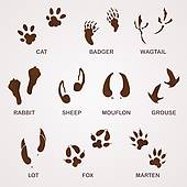 Free Free Bunny Tracks Svg 251 SVG PNG EPS DXF File