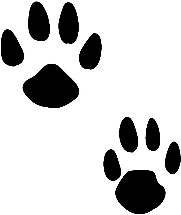 Download Rabbit tracks clipart 20 free Cliparts | Download images ...