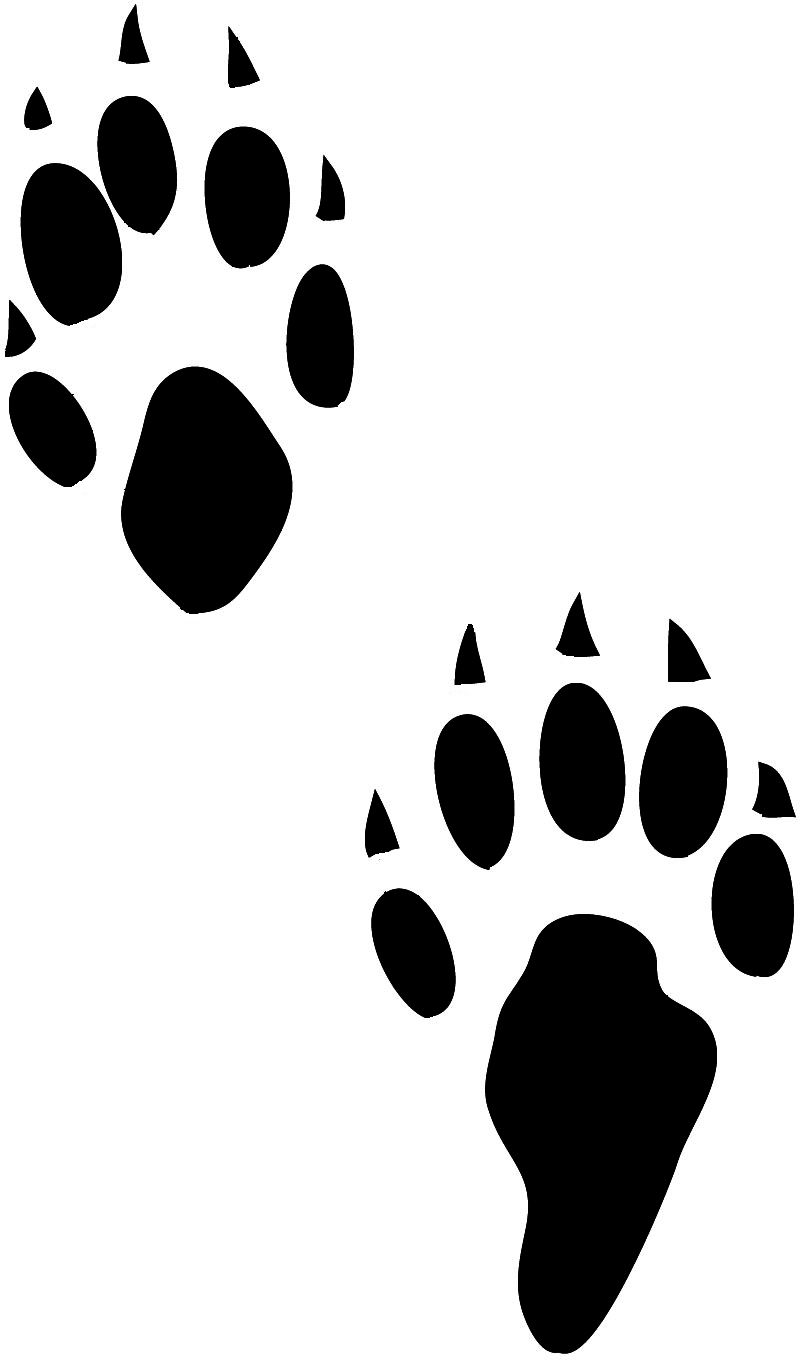 Rabbit tracks clipart 20 free Cliparts Download images on Clipground 2024