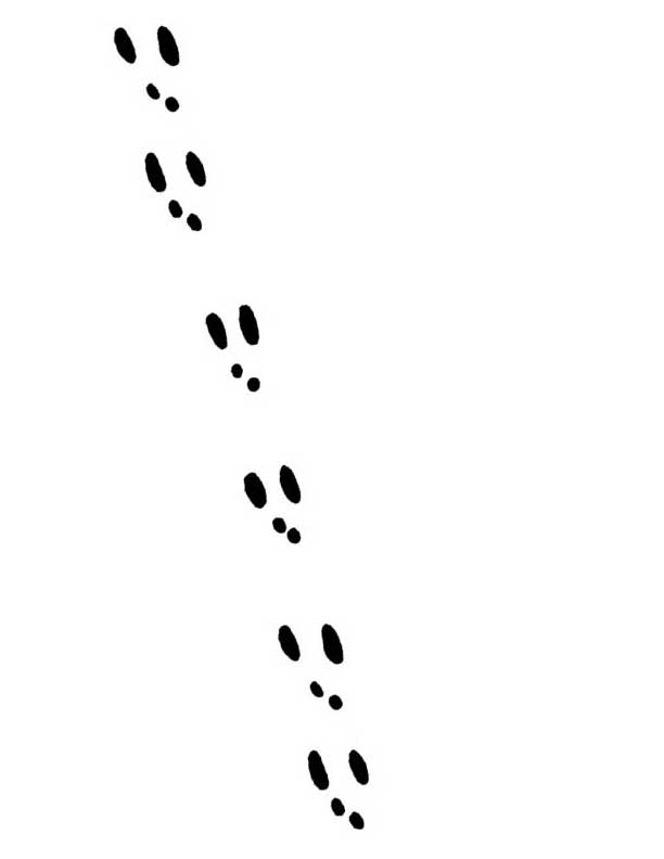 Free Free Bunny Footprint Svg 678 SVG PNG EPS DXF File