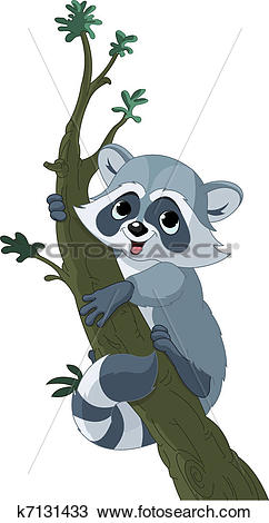 Clipart of Funny cartoon raccoon on the tree k7131433.