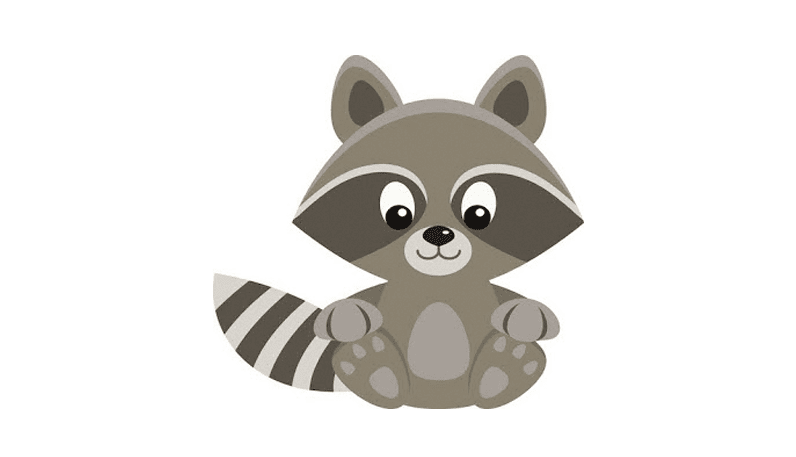 Raccoon Clipart Images.