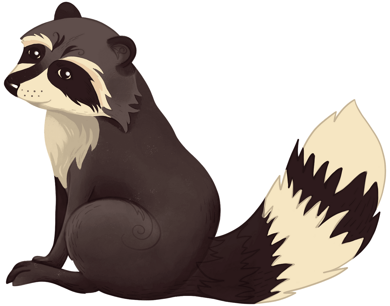 Raccoon clipart. Free download..