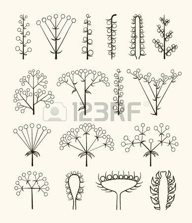 158 Raceme Stock Vector Illustration And Royalty Free Raceme Clipart.