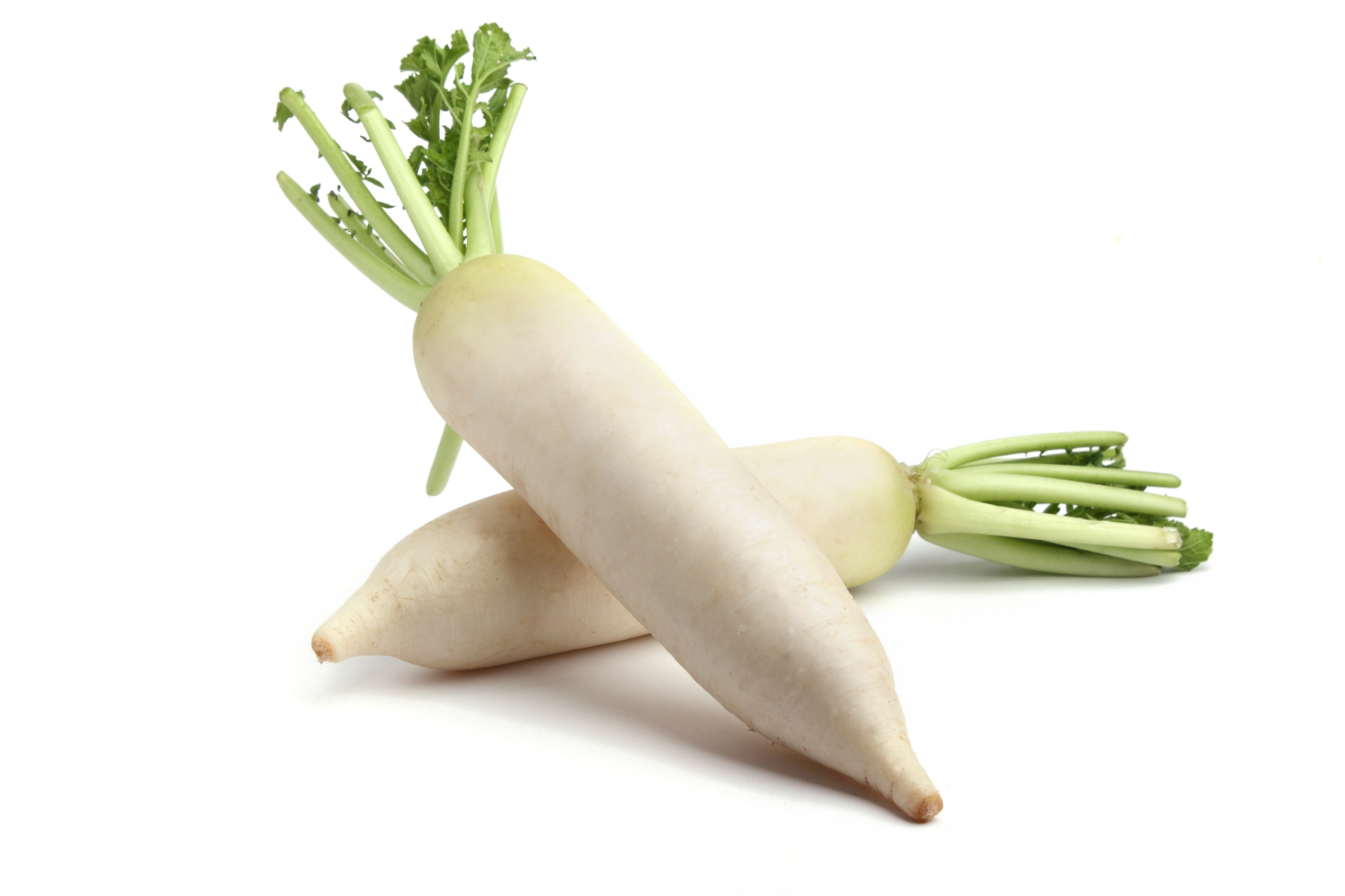 radish png 10 free Cliparts | Download images on Clipground 2021