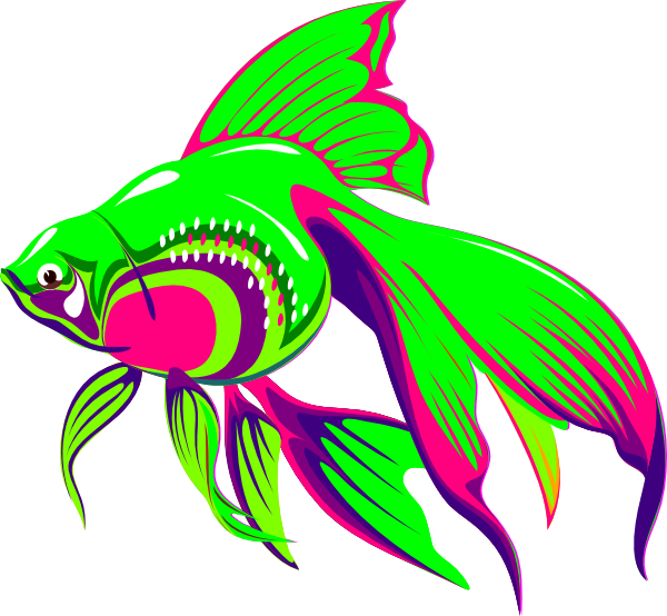 Rainbow fish clipart 20 free Cliparts | Download images on Clipground 2021