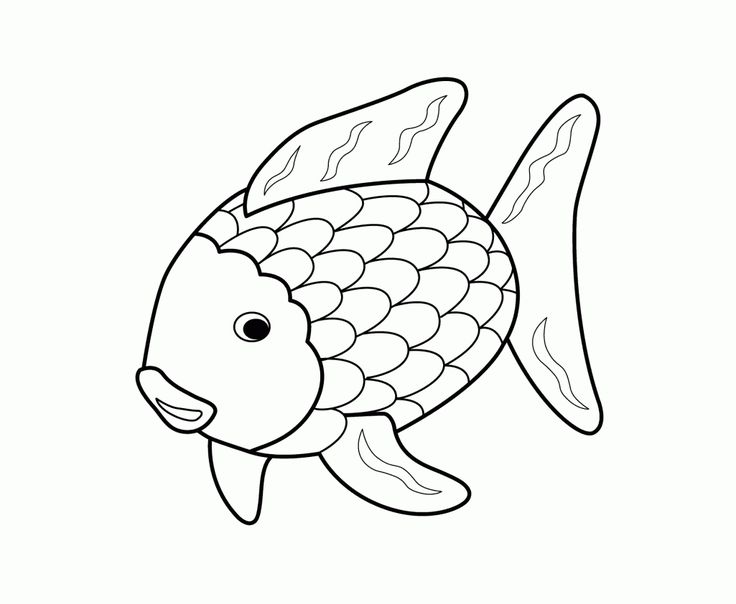 rainbow-fish-clipart-black-and-white-20-free-cliparts-download-images