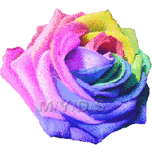 Rainbow Rose clipart / Free clip art.