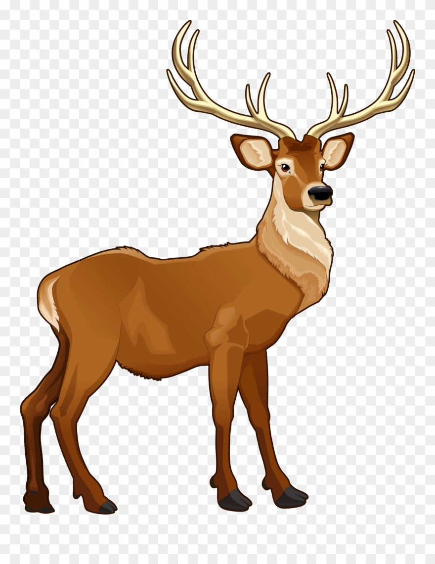 raindeer clipart 10 free Cliparts | Download images on Clipground 2024