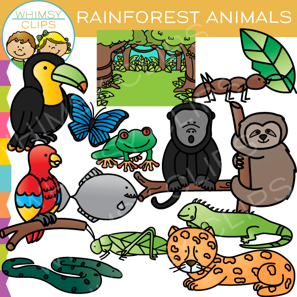 Rainforest animals clipart 20 free Cliparts | Download images on ...