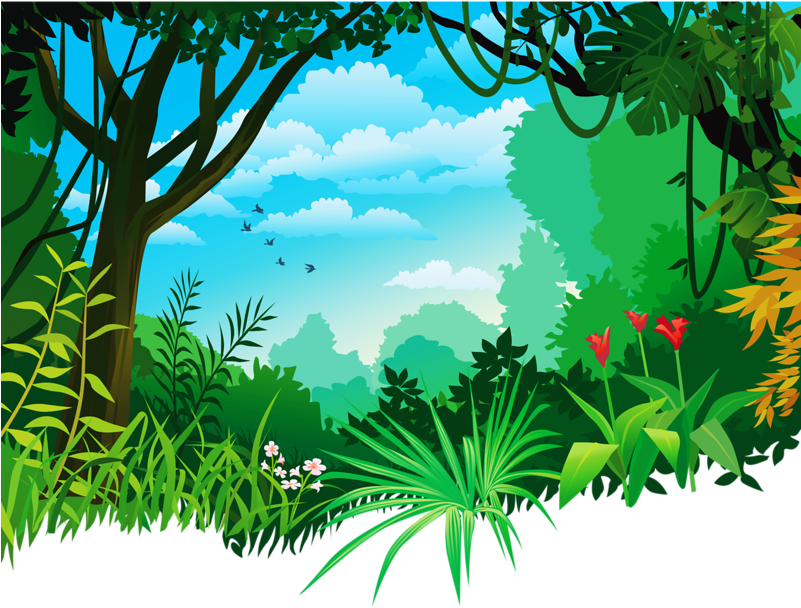 rainforest background clipart 10 free Cliparts | Download images on