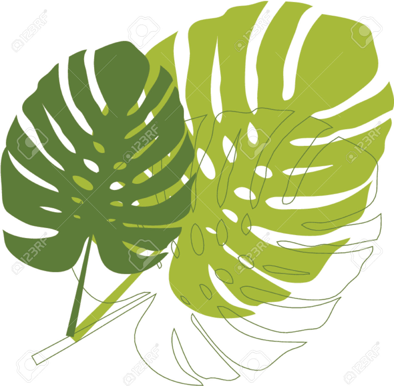 Related Keywords & Suggestions for Rainforest Leaves Clipart.