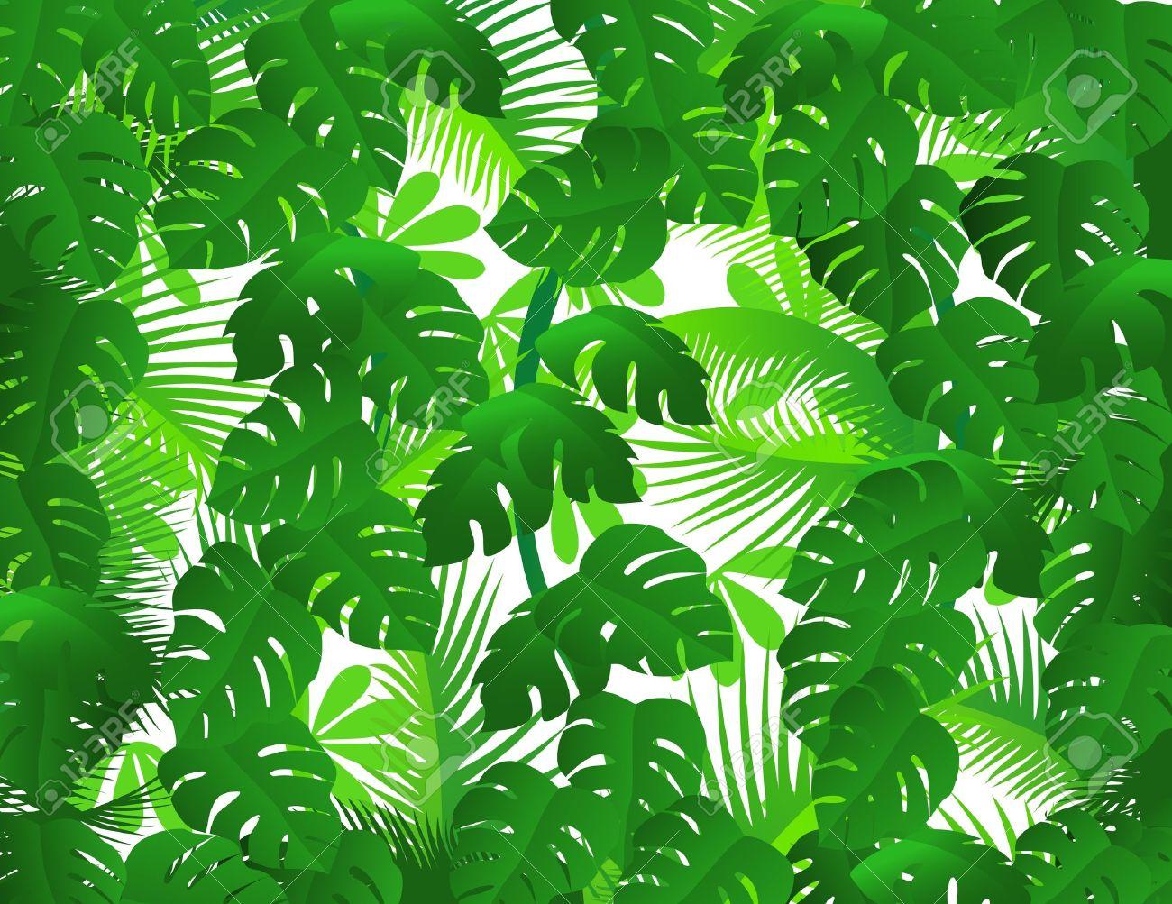Tropical Rainforest Leaves Clip Art.