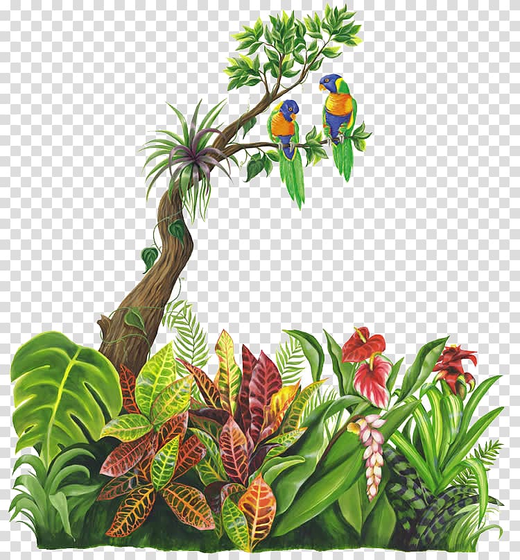 Rainforest Plants Clipart 10 Free Cliparts Download Images On