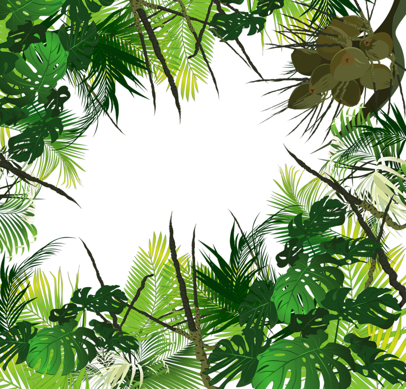 rainforest png 10 free Cliparts | Download images on Clipground 2021