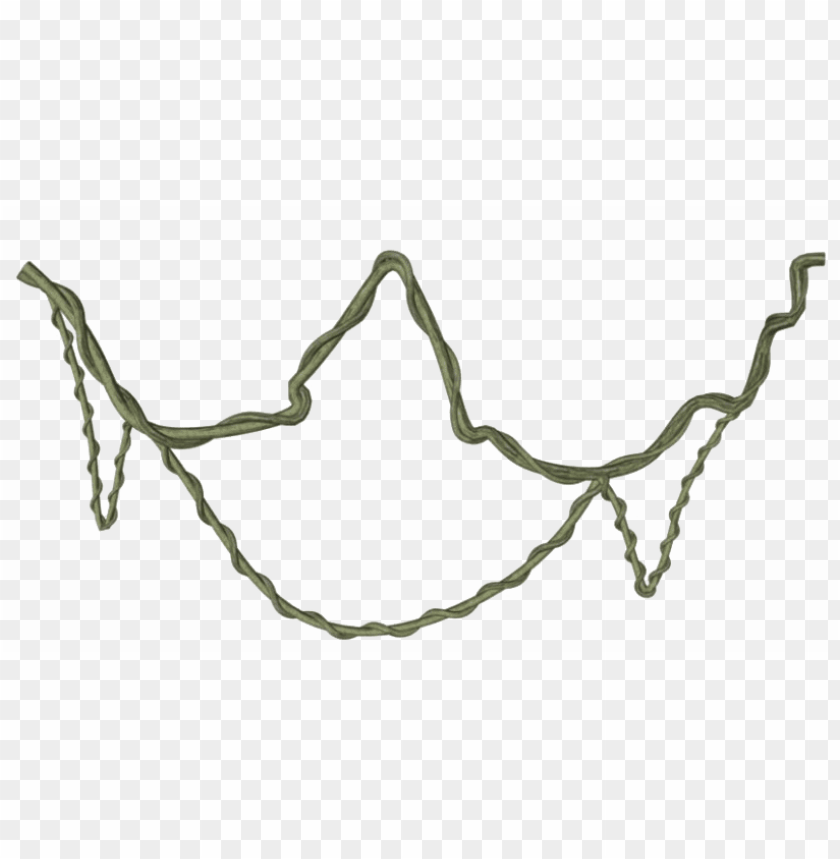 jungle vines png clipart.