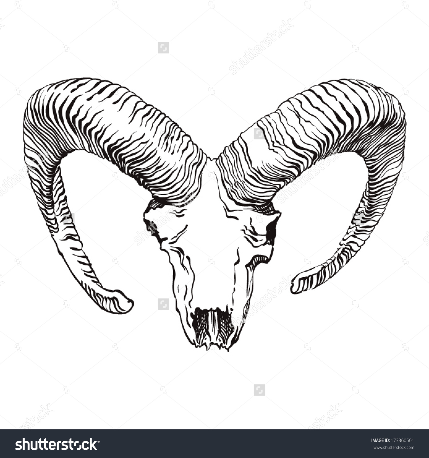 Ram Skull Vintage Style Stock Vector 173360501.