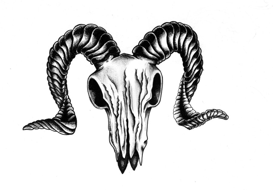 Download ram skull clipart 20 free Cliparts | Download images on ...