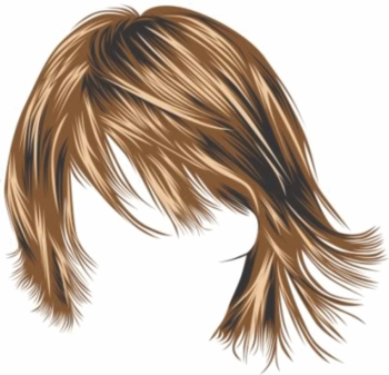  rambut png  10 free Cliparts Download images on 