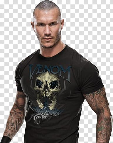 randy orton clipart 2015 10 free Cliparts | Download images on ...