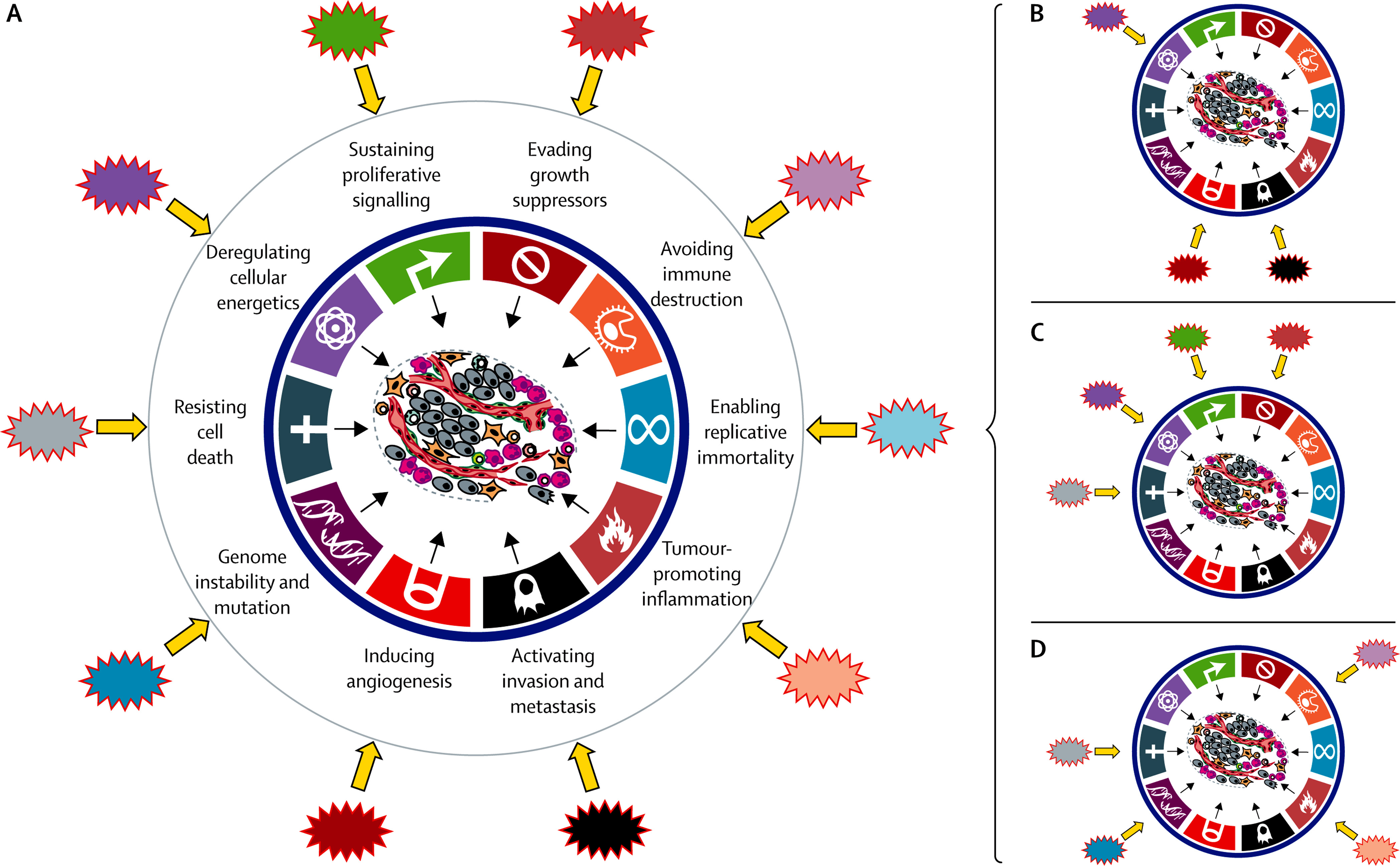 Rethinking the war on cancer.