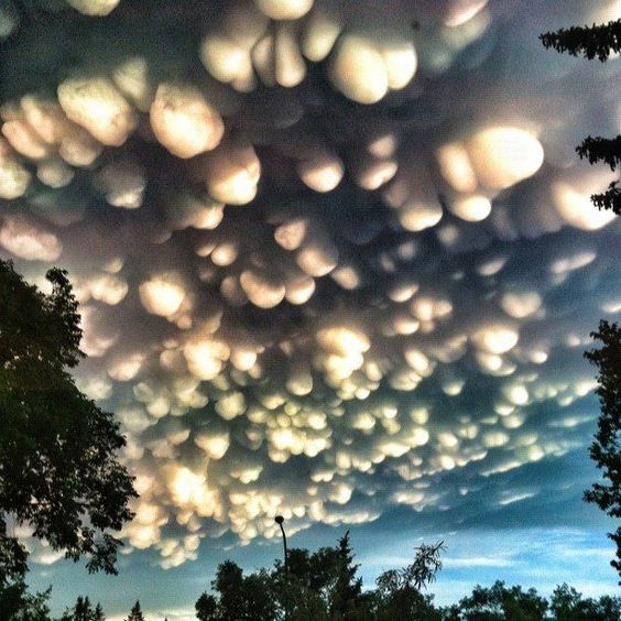 A rare cloud formation called a mammatus, where clouds take on a.