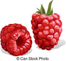 Raspberry Illustrations and Clipart. 7,129 Raspberry royalty free.